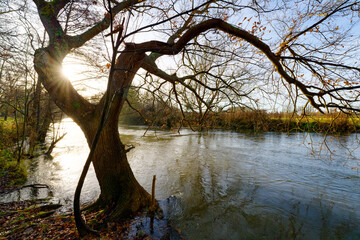 Loing river in the plain of Sorques. French Gatinais Regional Nature Park