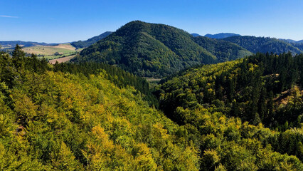 Aerial view of lush green forest with mountains creating a serene nature setting, Sitka, Alaska, USA.