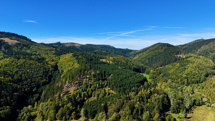 Aerial view of lush green forest with mountains creating a serene nature setting, Sitka, Alaska, USA.