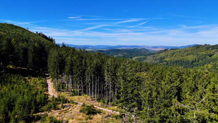 Aerial view of lush green forest with mountains creating a serene nature setting, Sitka, Alaska, USA.