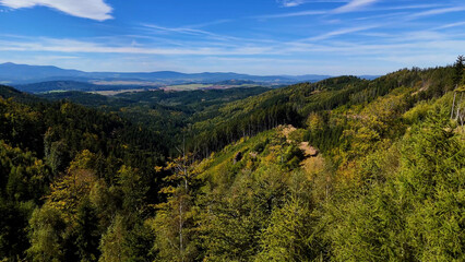 Aerial view of lush green forest with mountains creating a serene nature setting, Sitka, Alaska, USA.