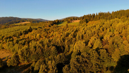 Aerial view of yellow aspen and green pine forests in early autumn in Colorado, USA. A picturesque autumn mountain landscape.