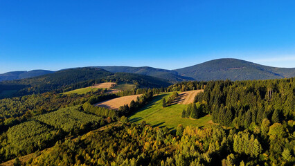 Aerial view of yellow aspen and green pine forests in early autumn in Colorado, USA. A picturesque autumn mountain landscape.