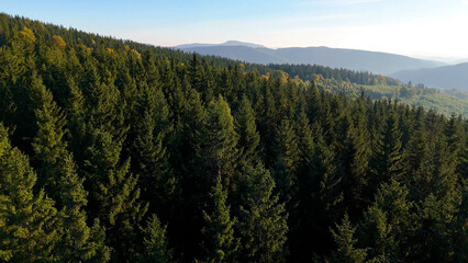 Beautiful morning landscape in the Appalachian Mountains of North Carolina, USA. The Grand Smoky Mountains in autumn. Drone view.