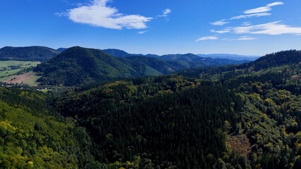 Drone view autumn view coniferous forest hills mountains USA.