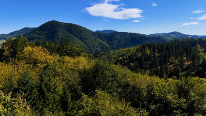 Drone view autumn view coniferous forest hills mountains USA.