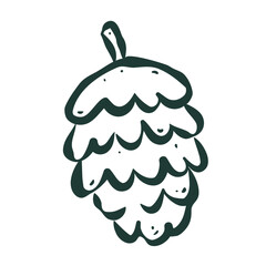 Isolated drawing element of pine cone in retro sketch ink style. Flat vector illustration. Modern template for card, poster, social media, label. Christmas concept.