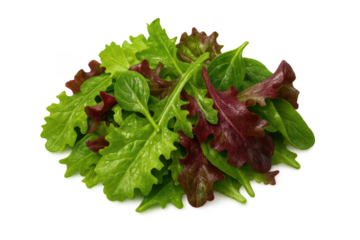 Fresh leafy salad with transparent background for healthy eating ads.