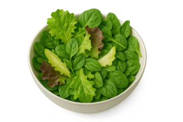 Fresh mixed green salad served on a transparent background scene.