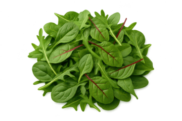 Fresh salad mix, a vibrant ingredient on transparent background image.