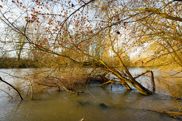 Obraz premium Loing river in the plain of Sorques. French Gatinais Regional Nature Park
