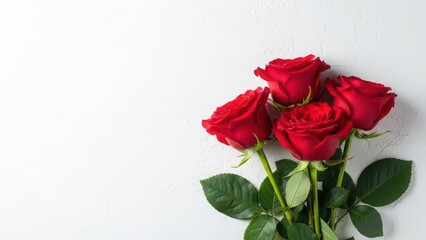 Four beautiful red roses with green leaves lying on a white surface