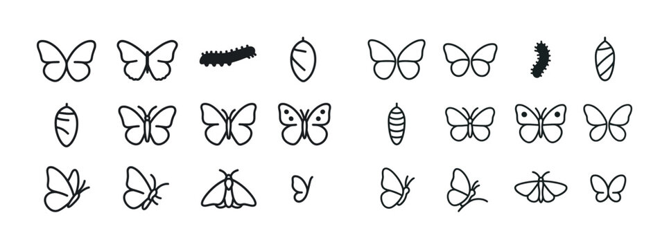 Butterfly evolution icons: caterpillar, chrysalis, and different