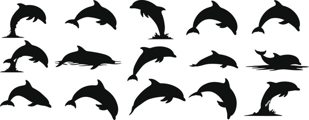 Collection of various dolphin silhouettes in different swimming positions