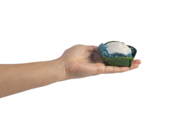 Sago dessert with coconut milk, Thai dessert, and hand on transparent background