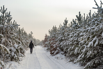 Spacer zimowy w pięknych okolicznościach przyrody © qrrr