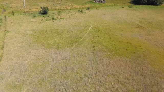 Push in tilting up aerial drone shot of a vast green field in Valtournenche Italy Valtournenche Italia during a sunny day giving a calm natural mood