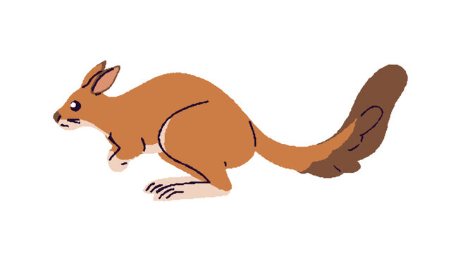 South African springhare is jumping. Cute baby rodent with fluffy long tail. Little desert animal is hopping. Funny beast of wilderness. Flat isolated vector illustration on white background