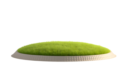 Architectural and landscape concept. Green grass field isolated on transparent background. 3d rendering . PNG format