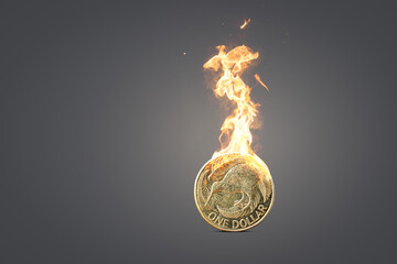 New Zealand Dollar Coin on Fire