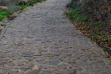 Curved stone walkway bordered by grass and fallen leaves, captured outdoors on an overcast autumn day, ideal for nature and travel concepts.
