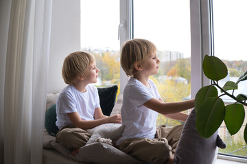 children, blonde twin boys, look out the window, sitting on the window sill