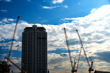 Towering construction cranes stand like mechanical giants beside a high-rise building