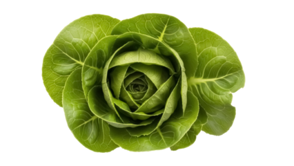 Fresh green butter lettuce isolated PNG, vibrant leafy vegetable for healthy eating and salad preparation on transparent background