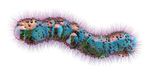 Сolorful bacilli with fibrous outer structures. High-detail, scientific artwork for medical graphics, biotechnology, bacillus research. Pathogen bacteria microorganism, PNG microbiology illustration