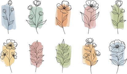 Collection of delicate floral line art with watercolor brush strokes isolated on transparent background
