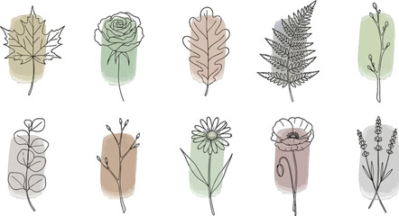 Collection of botanical illustrations with various floral and leaf designs on transparent background