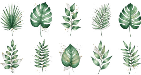 A collection of watercolor tropical leaves and foliage on transparent background