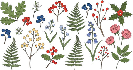 Variety of illustrated floral and botanical elements on transparent background