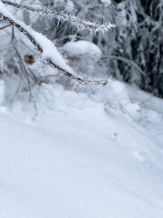 Vertical Winter Background With Hoar Frost And White Snow Copy Space