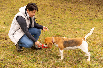 Owner giving water to dog