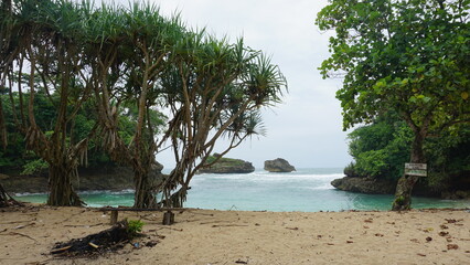 Ngliyep Beach Landscape in Malang  East Java  Indonesia 