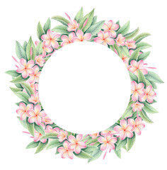Watercolor and colored pencil round frame with pink plumeria flowers and leaves isolated on white background. Botanical tropical wreath with frangipani for summer invitations, cards, wedding design.