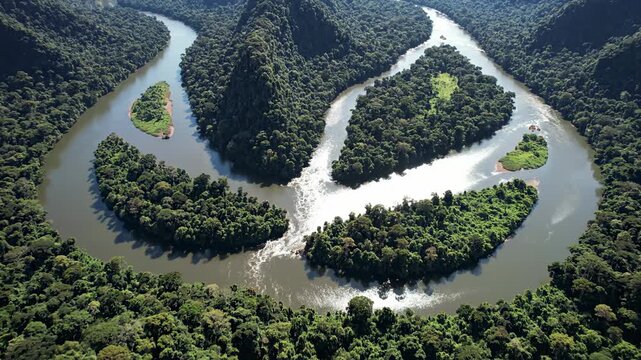 Abstract top-down vertical aerial view showcasing the striking dark green texture and geometric patterns formed by the meandering river flowing through the dense canopy trees, wilderness, dark