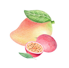 Hand-drawn tropical botanical illustration of mango, whole and half passion fruit isolated on white. Colored pencil and watercolor summer exotic composition for packaging, textile prints, juice labels