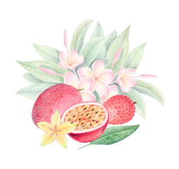 Tropical botanical isolated illustration of plumeria, lychee, star fruit, whole and half passion fruit. Watercolor summer exotic clipart with maracuja, carambola, frangipani for packaging, eco design.