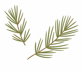 Two green coniferous branches with needlelike leaves white needles