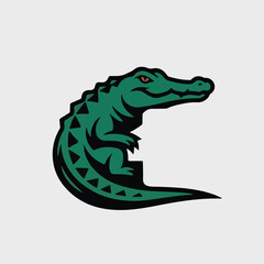 Crocodile colorful illustration graphic design