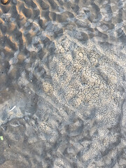 footprints on the sand