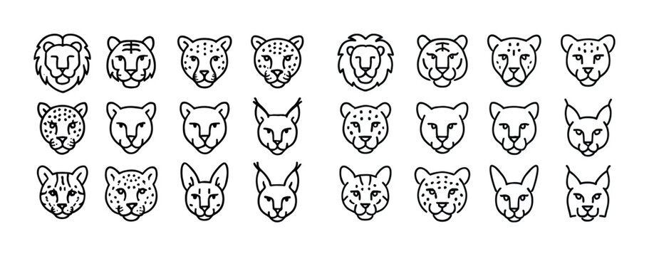 Set of big cat faces in outline style: lion, tiger, leopard, lyn