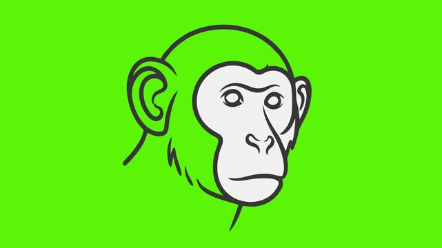Animation of a monkey face formed by text on a green background