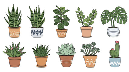 Fototapeta premium Collection of various potted houseplants in different ceramic and terracotta pots