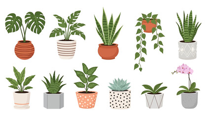 Fototapeta premium A vibrant collection of diverse potted houseplants, showcasing various popular indoor plants like Monstera, snake plants, and succulents, perfect for home decoration and green living spaces