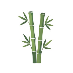 Obraz premium Two green bamboo stalks with leaves isolated on transparent background