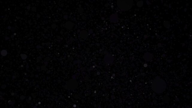 delicate floating particles create snowy appearance against shadowy backgrounds