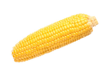 Fresh corn cob on white background